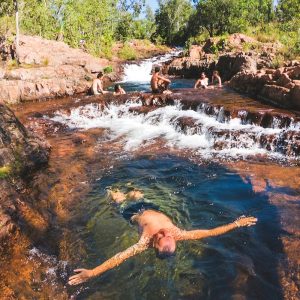 Litchfield Waterfalls Wildlife Tour + Croc Cruise